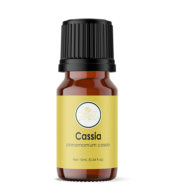 Cassia