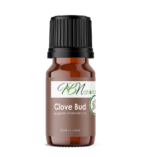 Clove Bud Essential Oil