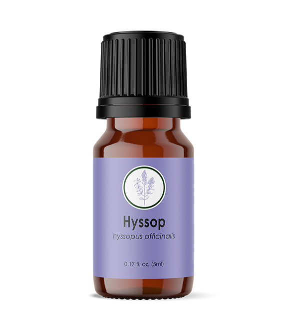 Hyssop