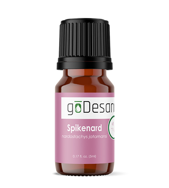 Spikenard